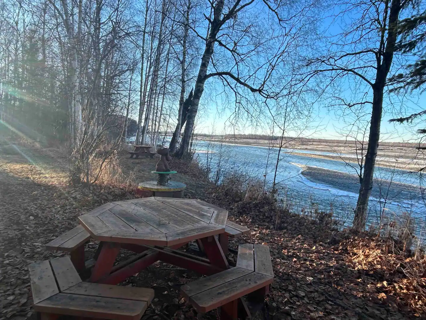 Backyard Table